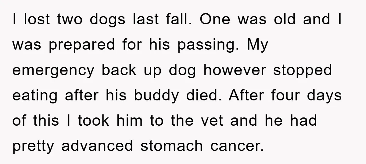 I lost two dogs last fall. One was old and I was prepared for his passing. My emergency back up dog however stopped eating after his buddy died. After four...