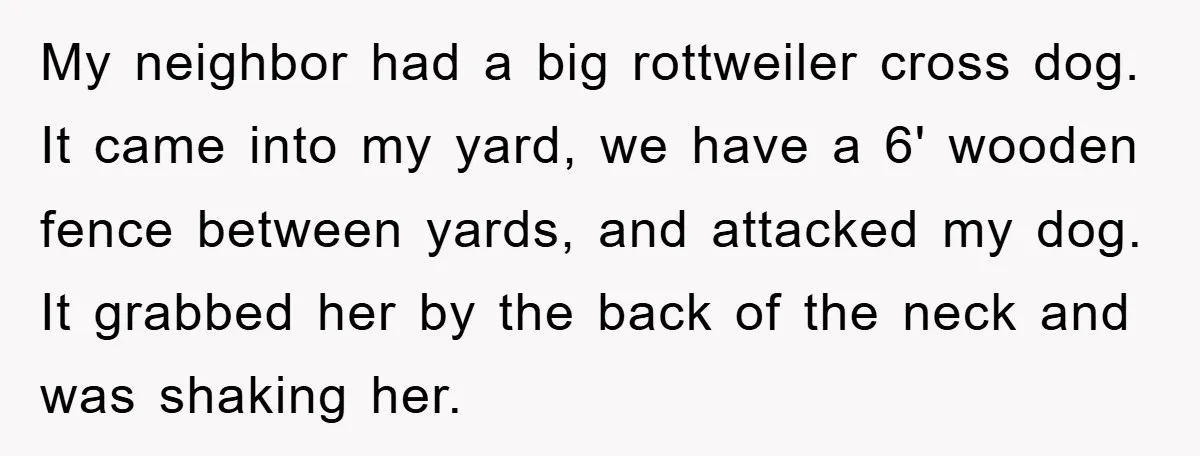 My neighbor had a big rottweiler cross dog. It came into my yard, we have a 6' wooden fence between yards, and attacked my dog. It grabbed her by the...