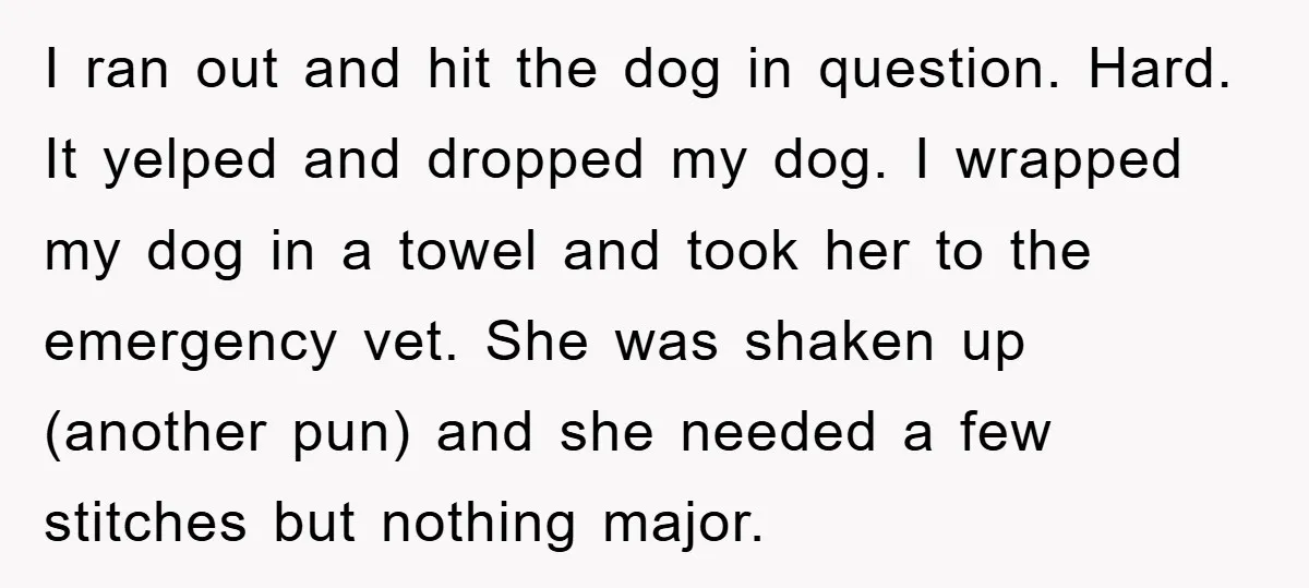 I ran out and hit the dog in question. Hard. It yelped and dropped my dog. I wrapped my dog in a towel and took her to the emergency vet....