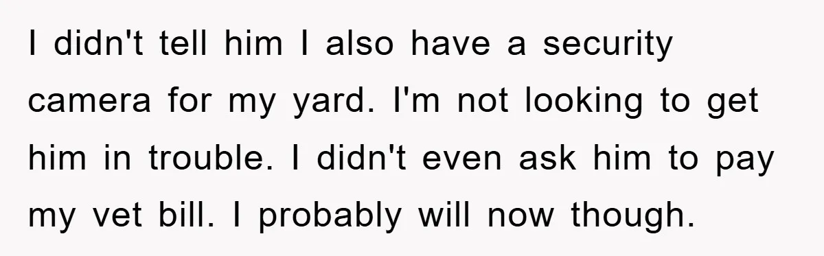 I didn't tell him I also have a security camera for my yard. I'm not looking to get him in trouble. I didn't even ask him to pay my vet...