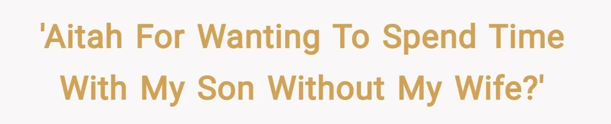 'AITAH For Wanting To Spend Time With My Son Without My Wife?'