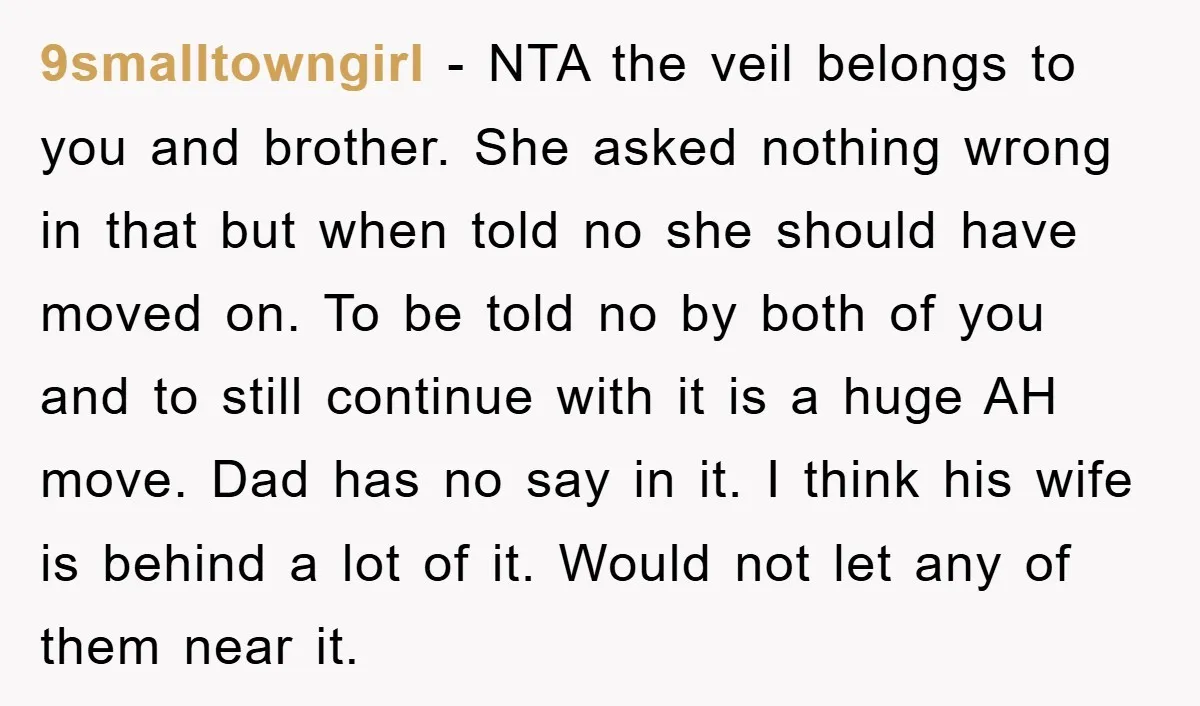 9smalltowngirl − NTA the veil belongs to you and brother. She asked nothing wrong in that but when told no she should have moved on. To be told no by...