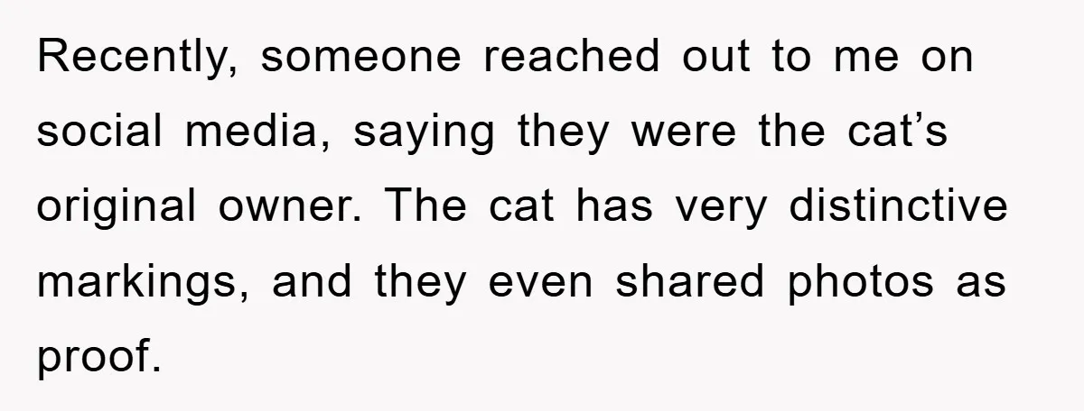 Recently, someone reached out to me on social media, saying they were the cat’s original owner. The cat has very distinctive markings, and they even shared photos as proof.