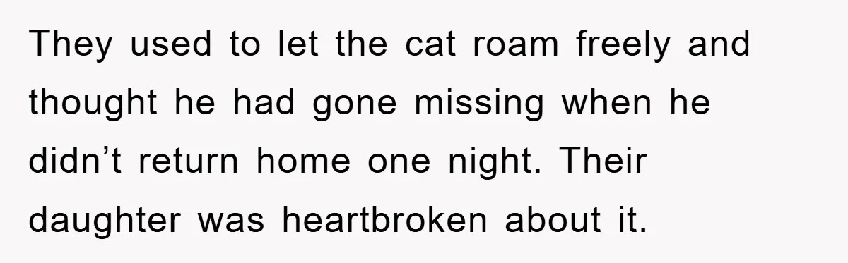 They used to let the cat roam freely and thought he had gone missing when he didn’t return home one night. Their daughter was heartbroken about it.
