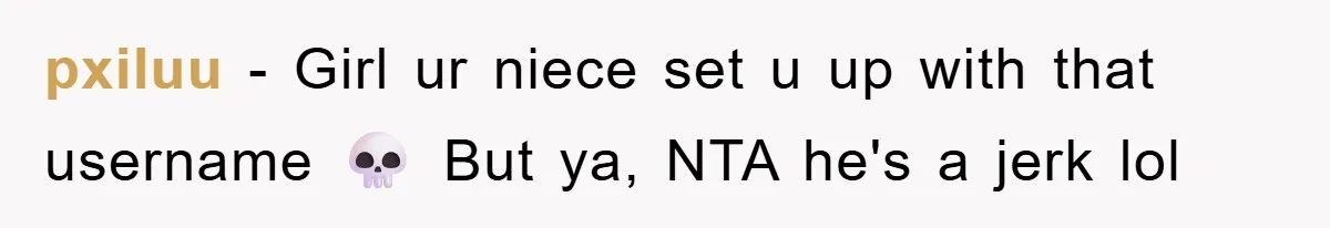 pxiluu − Girl ur niece set u up with that username 💀 But ya, NTA he's a jerk lol