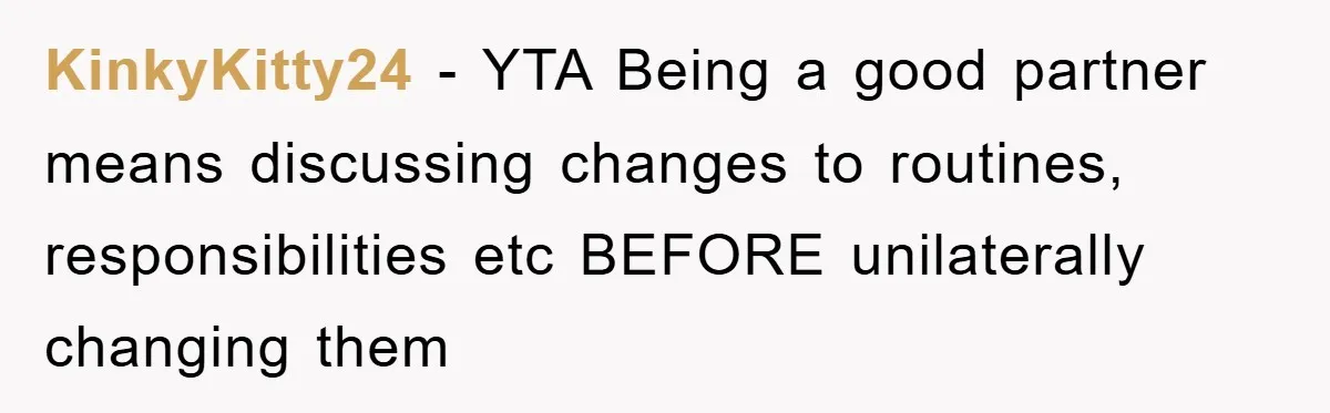KinkyKitty24 − YTA Being a good partner means discussing changes to routines, responsibilities etc BEFORE unilaterally changing them