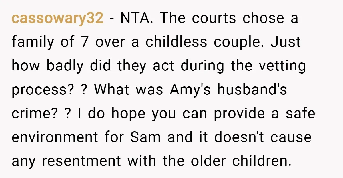 cassowary32 − NTA. The courts chose a family of 7 over a childless couple. Just how badly did they act during the vetting process? ? What was Amy's husband's crime?...