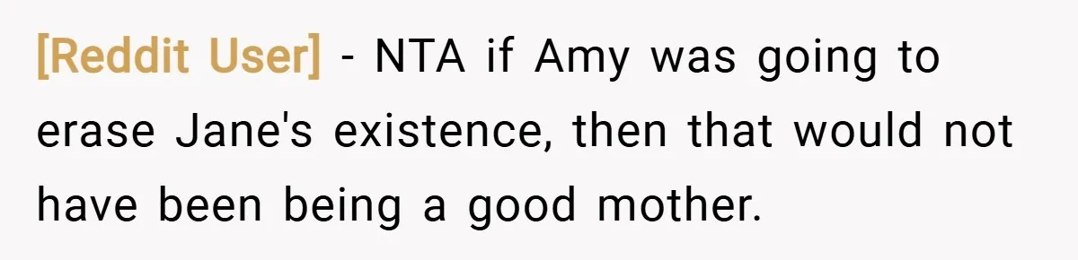 [Reddit User] − NTA if Amy was going to erase Jane's existence, then that would not have been being a good mother.