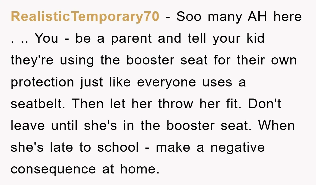 RealisticTemporary70 − Soo many AH here . .. You - be a parent and tell your kid they're using the booster seat for their own protection just like everyone uses...