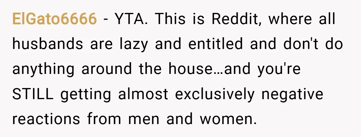 ElGato6666 − YTA. This is Reddit, where all husbands are lazy and entitled and don't do anything around the house…and you're STILL getting almost exclusively negative reactions from men and...