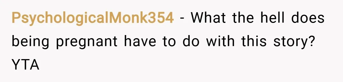 PsychologicalMonk354 − What the hell does being pregnant have to do with this story? YTA