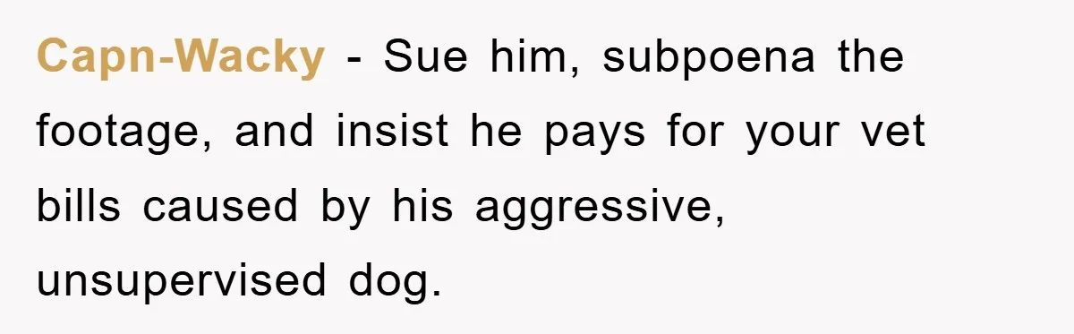 Capn-Wacky − Sue him, subpoena the footage, and insist he pays for your vet bills caused by his aggressive, unsupervised dog.