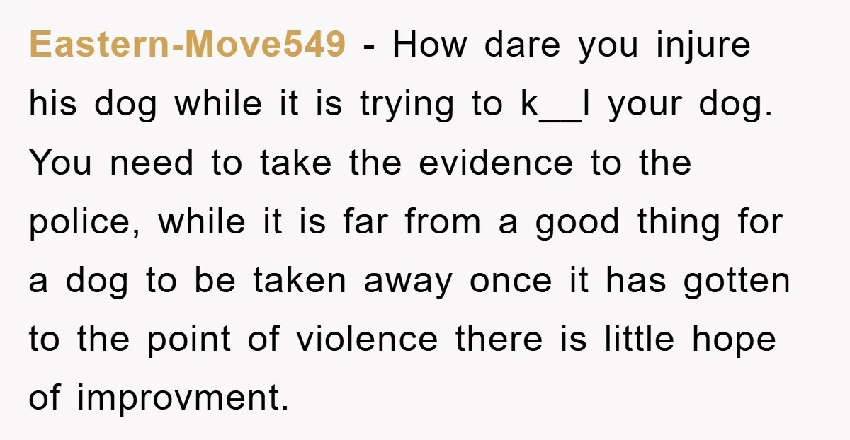 Eastern-Move549 − How dare you injure his dog while it is trying to k__l your dog. You need to take the evidence to the police, while it is far from...