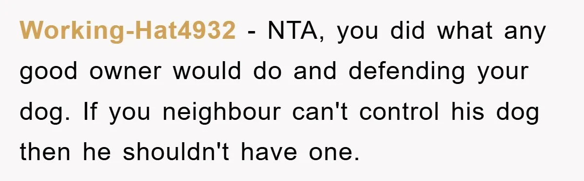 Working-Hat4932 − NTA, you did what any good owner would do and defending your dog. If you neighbour can't control his dog then he shouldn't have one.