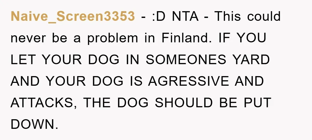 Naive_Screen3353 − :D NTA - This could never be a problem in Finland. IF YOU LET YOUR DOG IN SOMEONES YARD AND YOUR DOG IS AGRESSIVE AND ATTACKS, THE DOG...