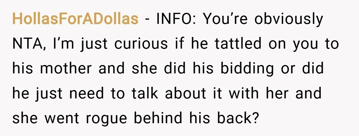 HollasForADollas − INFO: You’re obviously NTA, I’m just curious if he tattled on you to his mother and she did his bidding or did he just need to talk about...