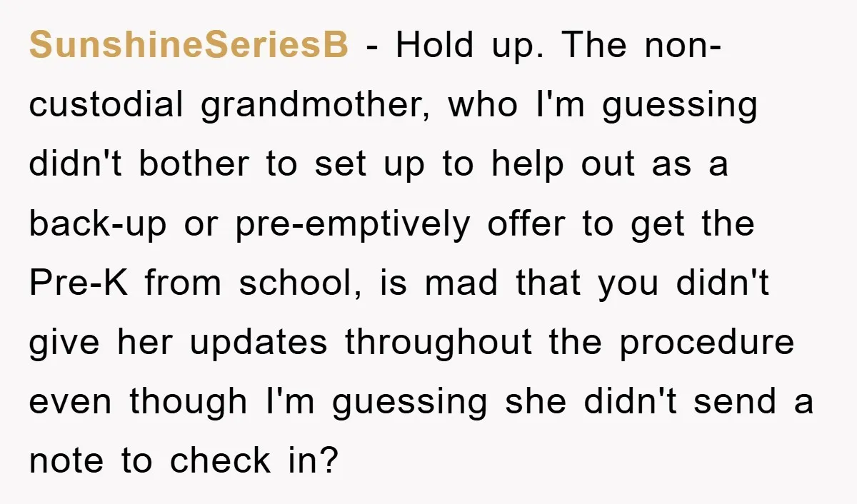 SunshineSeriesB − Hold up. The non-custodial grandmother, who I'm guessing didn't bother to set up to help out as a back-up or pre-emptively offer to get the Pre-K from school,...