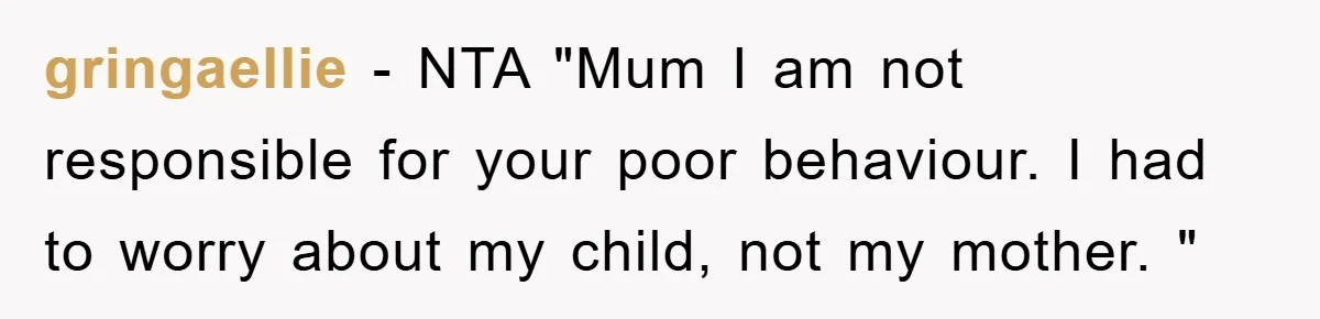 gringaellie − NTA "Mum I am not responsible for your poor behaviour. I had to worry about my child, not my mother. "