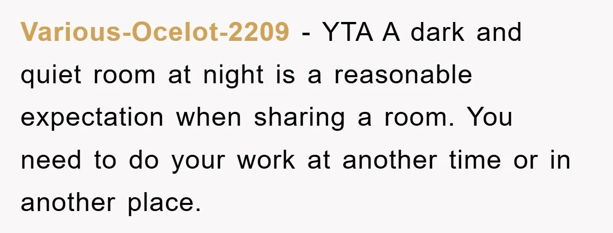 Various-Ocelot-2209 − YTA A dark and quiet room at night is a reasonable expectation when sharing a room. You need to do your work at another time or in another...
