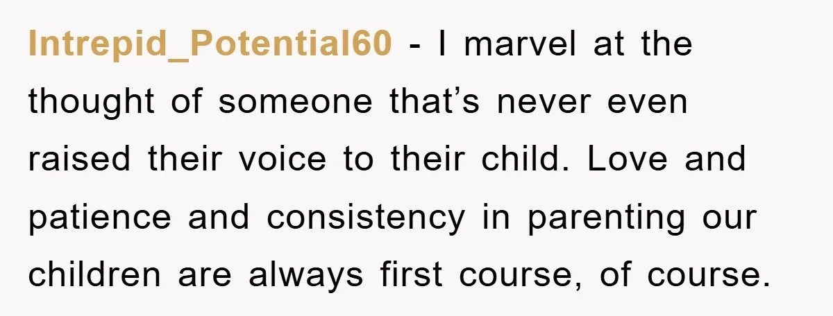 Intrepid_Potential60 − I marvel at the thought of someone that’s never even raised their voice to their child. Love and patience and consistency in parenting our children are always first...