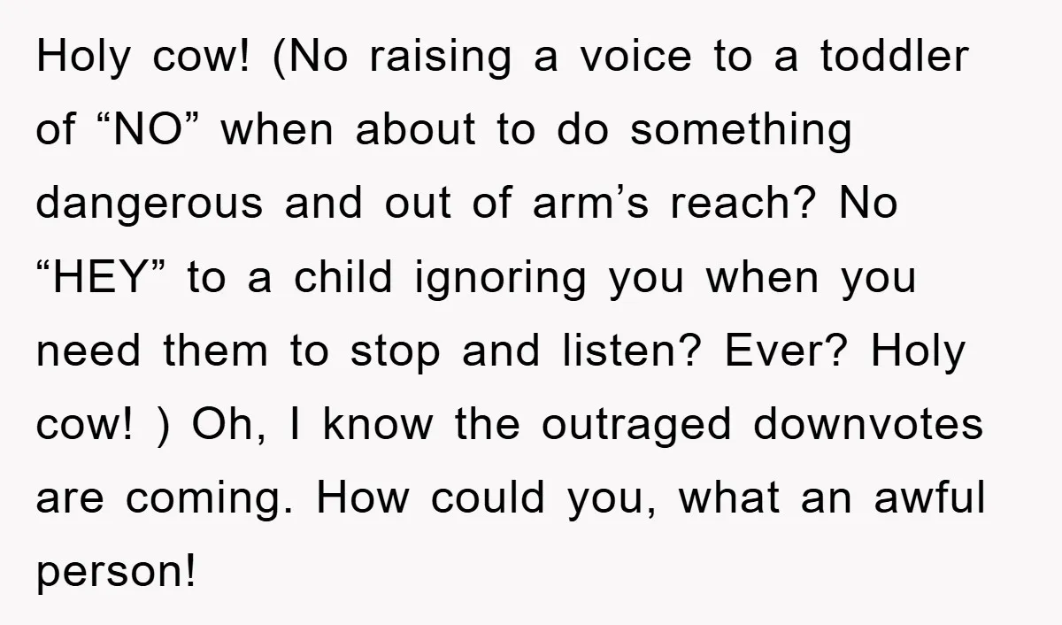 Holy cow! (No raising a voice to a toddler of “NO” when about to do something dangerous and out of arm’s reach? No “HEY” to a child ignoring you when...