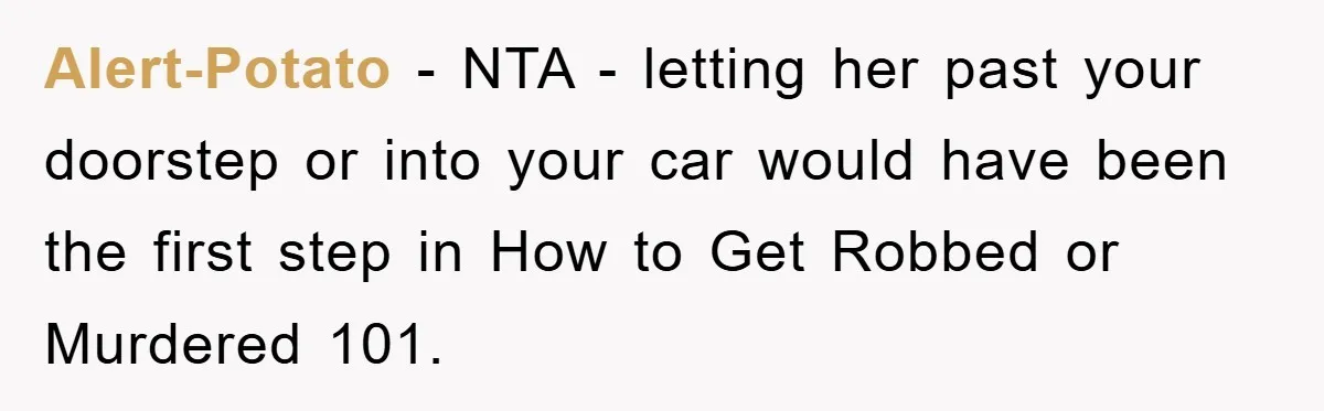 Alert-Potato − NTA - letting her past your doorstep or into your car would have been the first step in How to Get Robbed or Murdered 101.