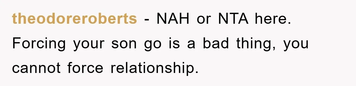 theodoreroberts − NAH or NTA here. Forcing your son go is a bad thing, you cannot force relationship.