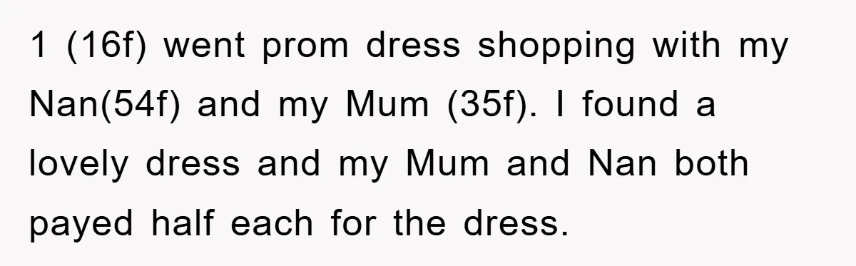 1 (16f) went prom dress shopping with my Nan(54f) and my Mum (35f). I found a lovely dress and my Mum and Nan both payed half each for the dress.
