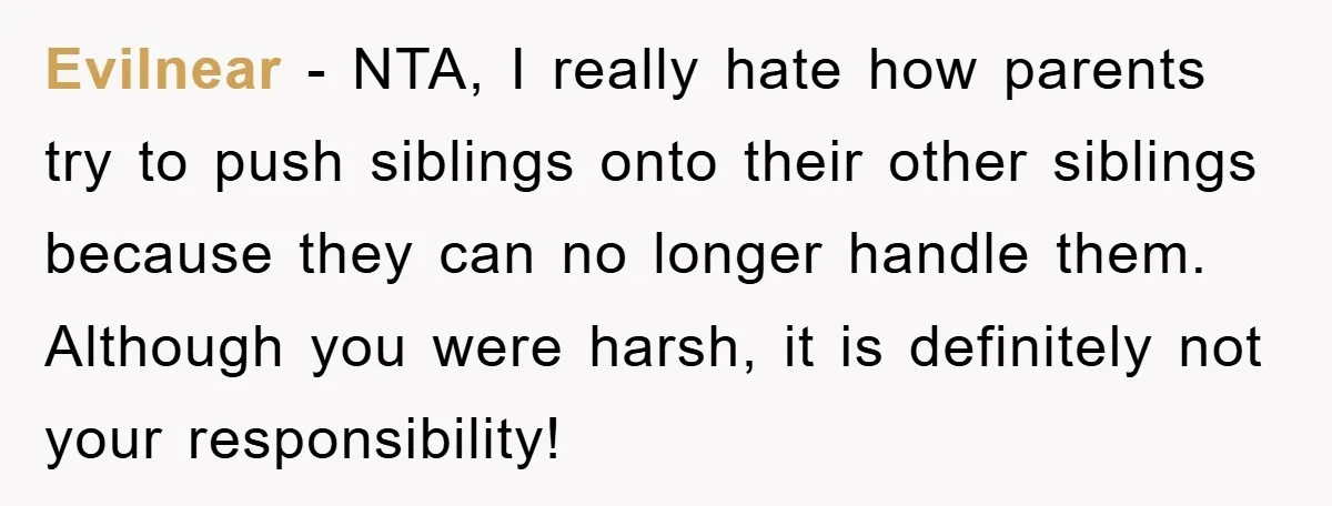 Evilnear − NTA, I really hate how parents try to push siblings onto their other siblings because they can no longer handle them. Although you were harsh, it is definitely...