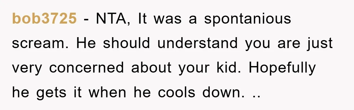 bob3725 − NTA, It was a spontanious scream. He should understand you are just very concerned about your kid. Hopefully he gets it when he cools down. ..