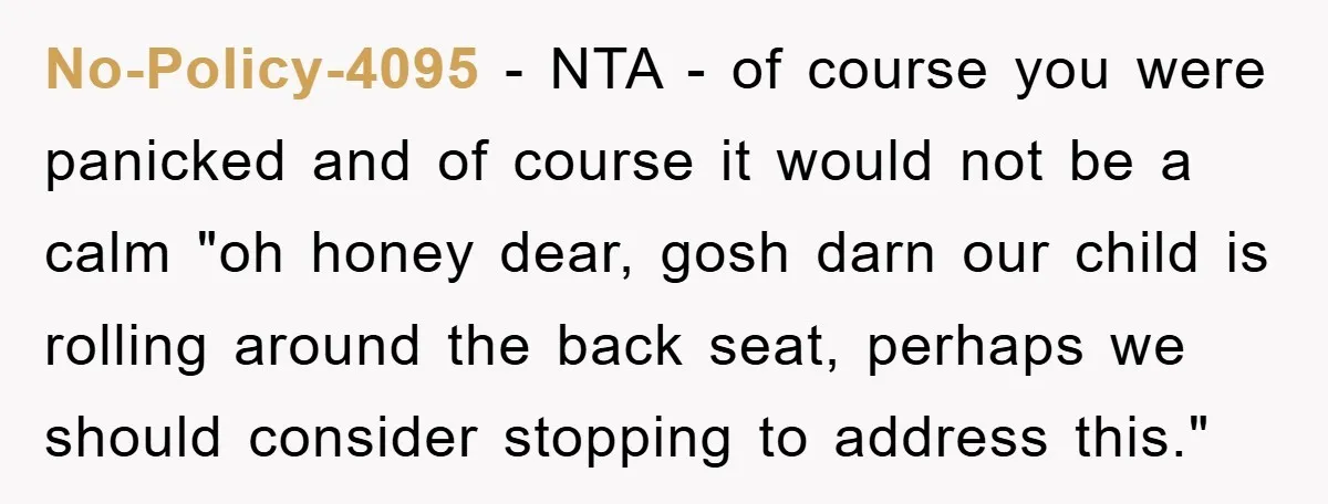 No-Policy-4095 − NTA - of course you were panicked and of course it would not be a calm "oh honey dear, gosh darn our child is rolling around the back...