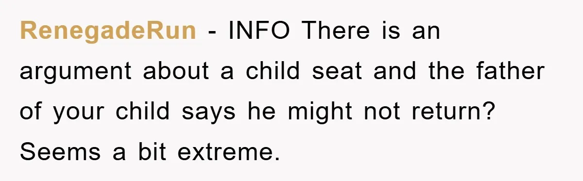 RenegadeRun − INFO There is an argument about a child seat and the father of your child says he might not return? Seems a bit extreme.