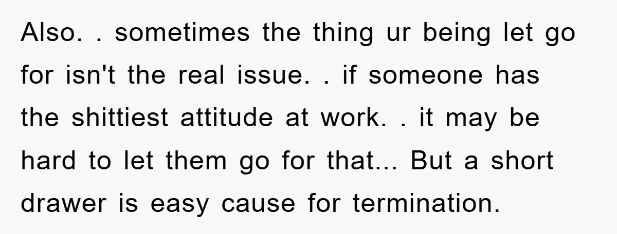 Also. . sometimes the thing ur being let go for isn't the real issue. . if someone has the shittiest attitude at work. . it may be hard to let...