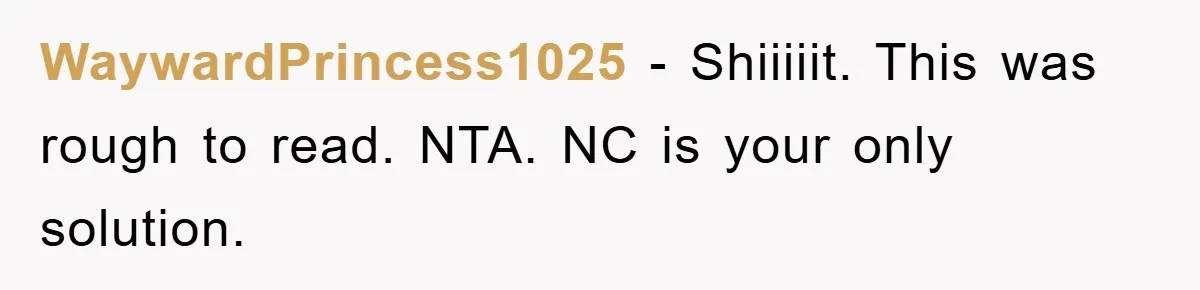 WaywardPrincess1025 − Shiiiiit. This was rough to read. NTA. NC is your only solution.