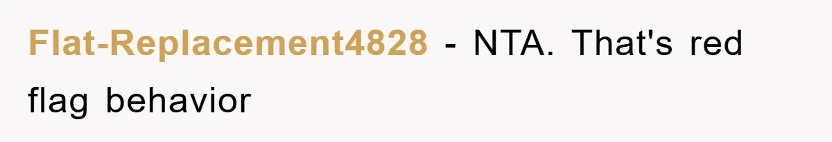Flat-Replacement4828 − NTA. That's red flag behavior