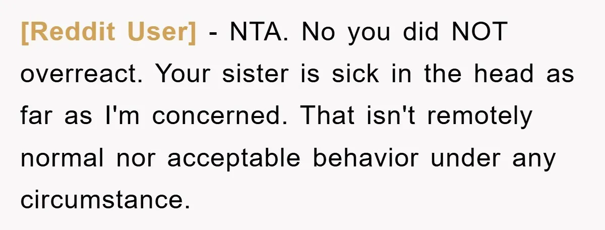 [Reddit User] − NTA. No you did NOT overreact. Your sister is sick in the head as far as I'm concerned. That isn't remotely normal nor acceptable behavior under any...