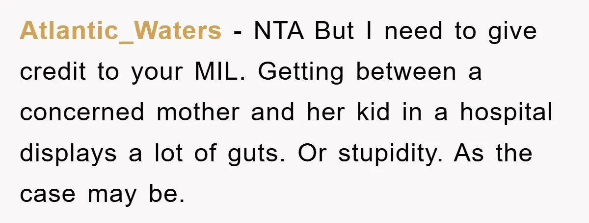 Atlantic_Waters − NTA But I need to give credit to your MIL. Getting between a concerned mother and her kid in a hospital displays a lot of guts. Or stupidity....