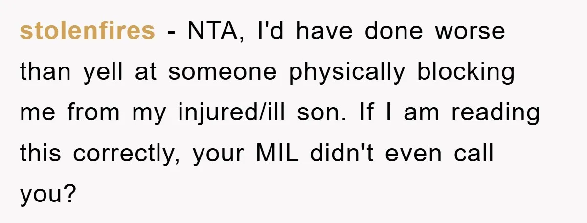stolenfires − NTA, I'd have done worse than yell at someone physically blocking me from my injured/ill son. If I am reading this correctly, your MIL didn't even call you?