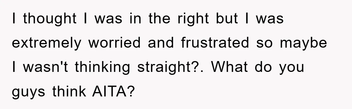 I thought I was in the right but I was extremely worried and frustrated so maybe I wasn't thinking straight?. What do you guys think AITA?