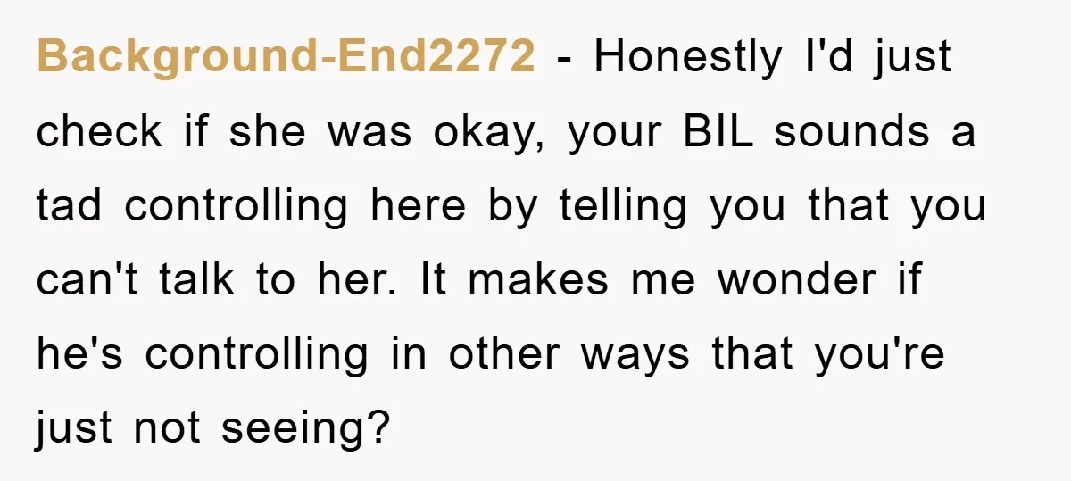 Background-End2272 − Honestly I'd just check if she was okay, your BIL sounds a tad controlling here by telling you that you can't talk to her. It makes me wonder...