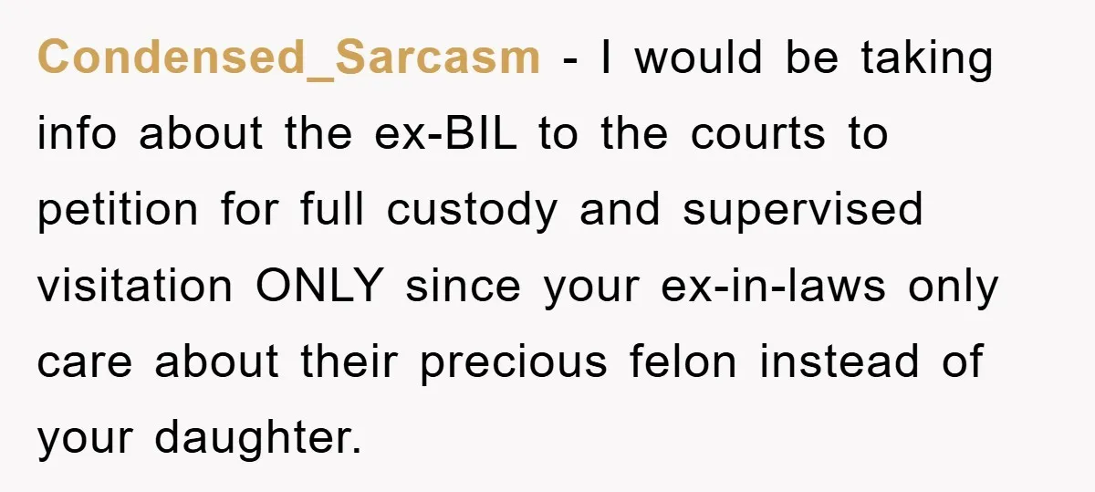 Condensed_Sarcasm − I would be taking info about the ex-BIL to the courts to petition for full custody and supervised visitation ONLY since your ex-in-laws only care about their precious...