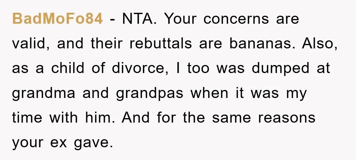 BadMoFo84 − NTA. Your concerns are valid, and their rebuttals are bananas. Also, as a child of divorce, I too was dumped at grandma and grandpas when it was my...