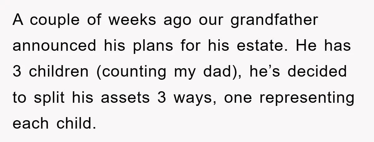 A couple of weeks ago our grandfather announced his plans for his estate. He has 3 children (counting my dad), he’s decided to split his assets 3 ways, one representing...