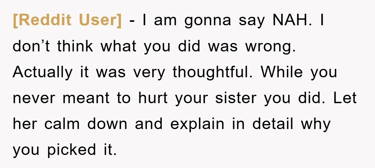 [Reddit User] − I am gonna say NAH. I don’t think what you did was wrong. Actually it was very thoughtful. While you never meant to hurt your sister you...