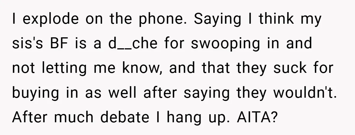 I explode on the phone. Saying I think my sis's BF is a d__che for swooping in and not letting me know, and that they suck for buying in as...