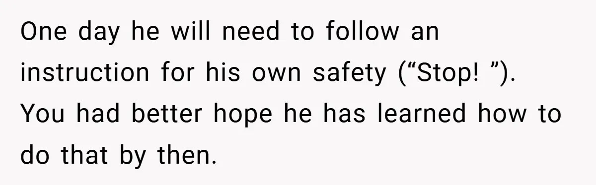 One day he will need to follow an instruction for his own safety (“Stop! ”). You had better hope he has learned how to do that by then.