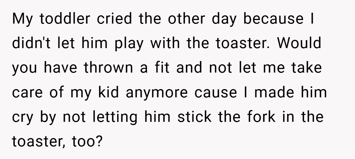 My toddler cried the other day because I didn't let him play with the toaster. Would you have thrown a fit and not let me take care of my kid...