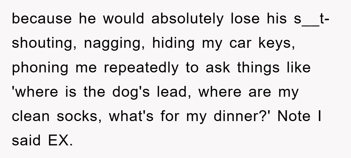 because he would absolutely lose his s__t- shouting, nagging, hiding my car keys, phoning me repeatedly to ask things like 'where is the dog's lead, where are my clean socks,...