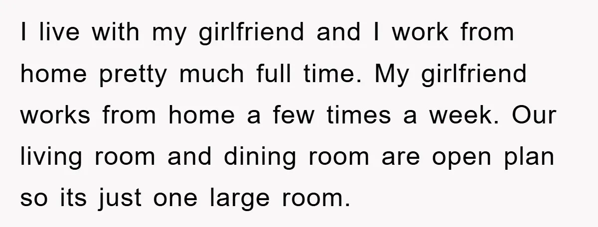I live with my girlfriend and I work from home pretty much full time. My girlfriend works from home a few times a week. Our living room and dining room...