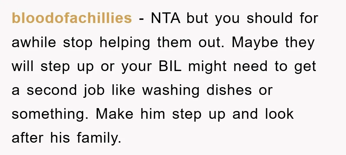 bloodofachillies − NTA but you should for awhile stop helping them out. Maybe they will step up or your BIL might need to get a second job like washing dishes...